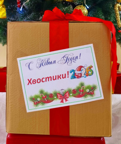 Первые подарили новогоднюю сказку