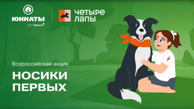 Добрые лапы спешат на помощь!